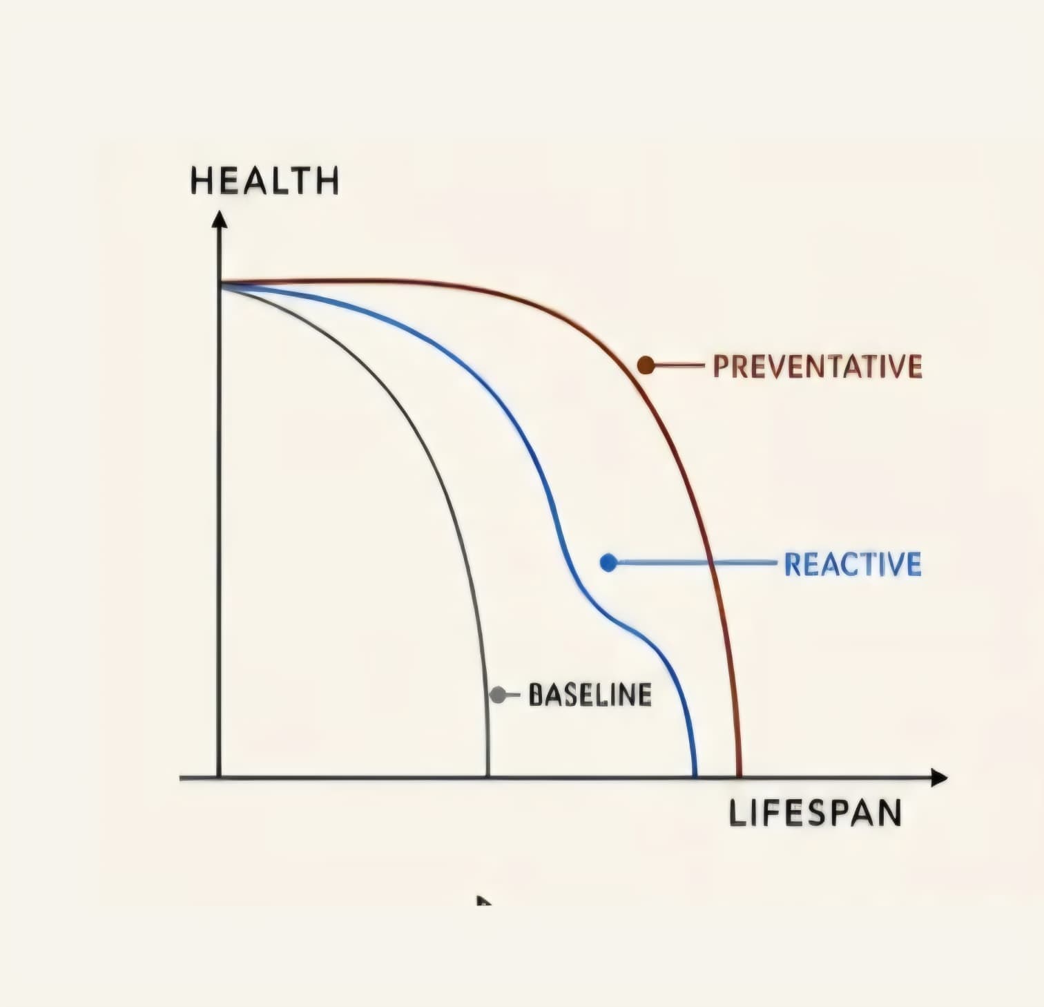 Graph of health over lifespan: baseline, reactive care and preventative care, with preventative care keeping health highest for longest